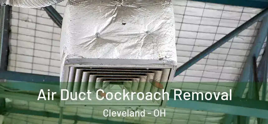  Air Duct Cockroach Removal Cleveland - OH