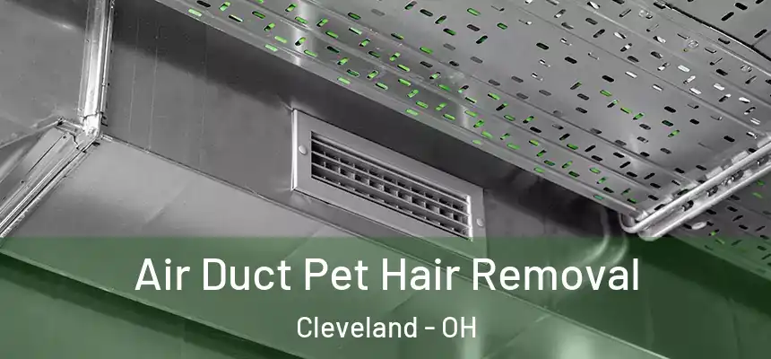 Air Duct Pet Hair Removal Cleveland - OH