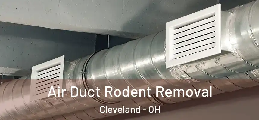  Air Duct Rodent Removal Cleveland - OH