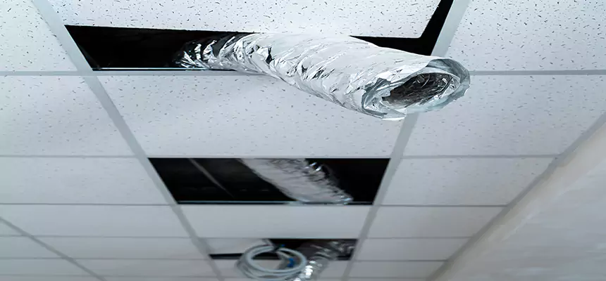 Our Air Duct Pet Hair Removal Services in Cleveland, OH