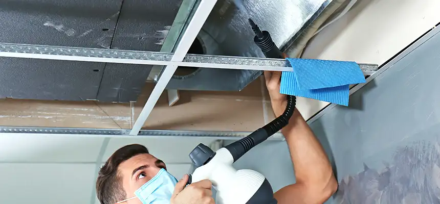 Our Air Duct Rodent Removal Services in Cleveland, OH