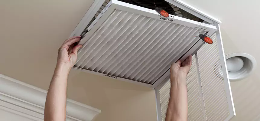 Our Insect Removal from Air Ducts Services in Cleveland, OH