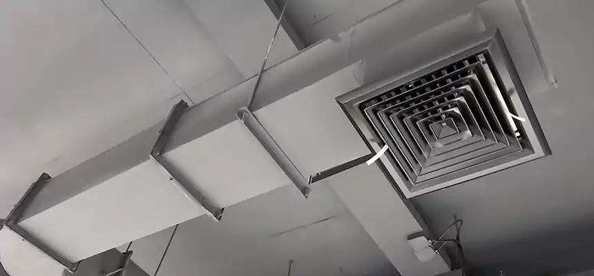 Our Pest Removal From Ducts Services in Cleveland, OH