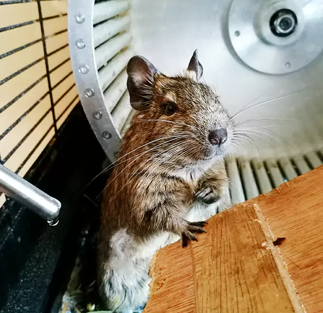 Why Homeowners & Businesses Trust Us Cleveland, OH?