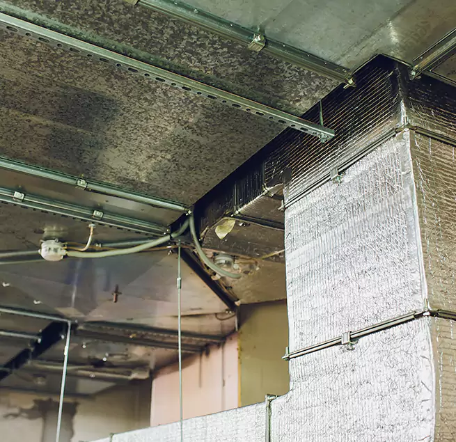 Why Homeowners & Businesses Trust Us in Cleveland, OH?